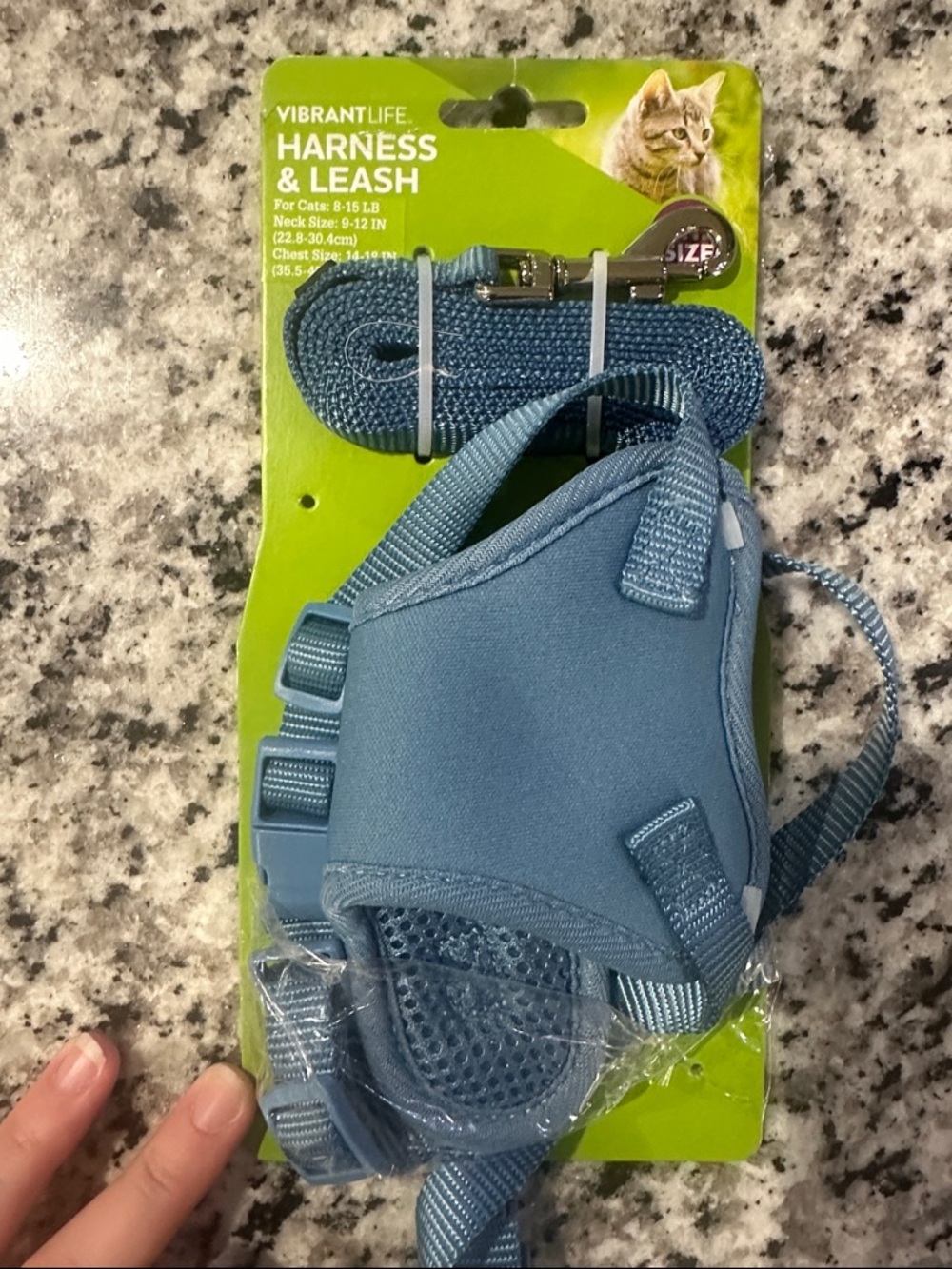 Vibrant Blue Cat Harness & Leash Set - 8-15 lbs